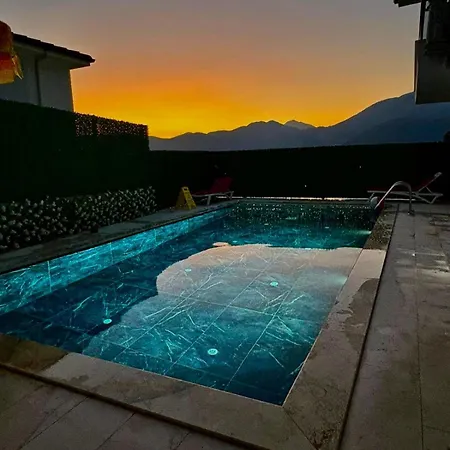 Ari Honeybee フェティエ