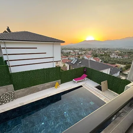 Ari Honeybee פאטהיה